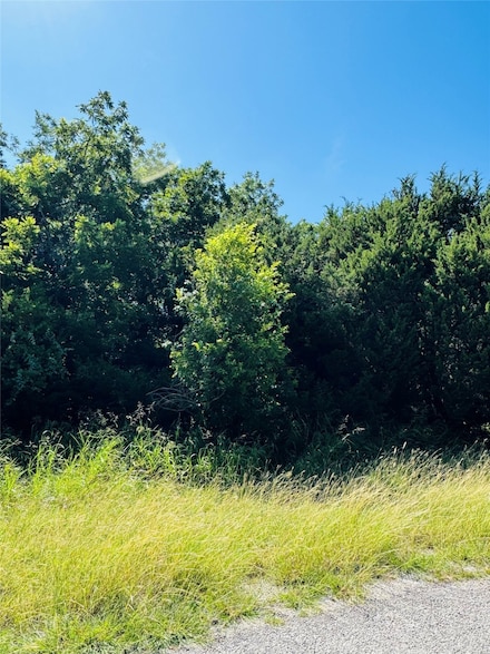 34051 Stonewood Loop, Whitney, TX 76692