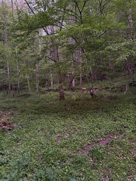 0 Bluestone Unit 55109, Montcalm, WV 24737