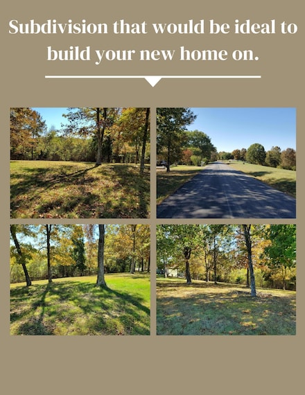 Lot 25 Mule Barn Dr, Flat Creek A Township, MO 65624