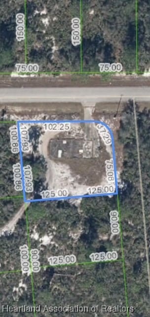 1507 Crossview St, Lake Placid, FL 33852