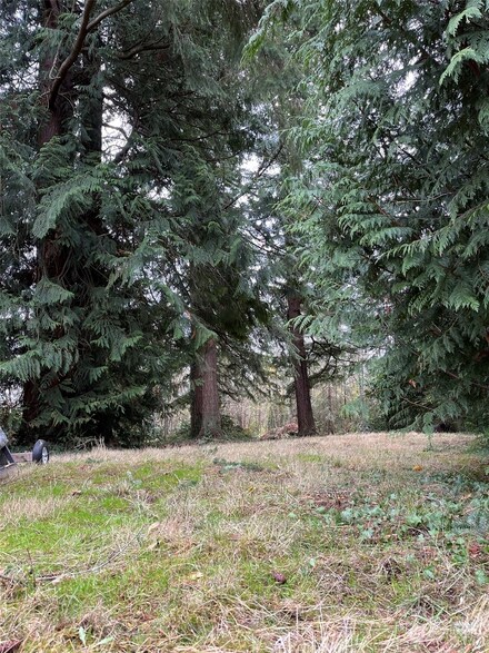 18720 49th Place NE, Lake Forest Park, WA 98155