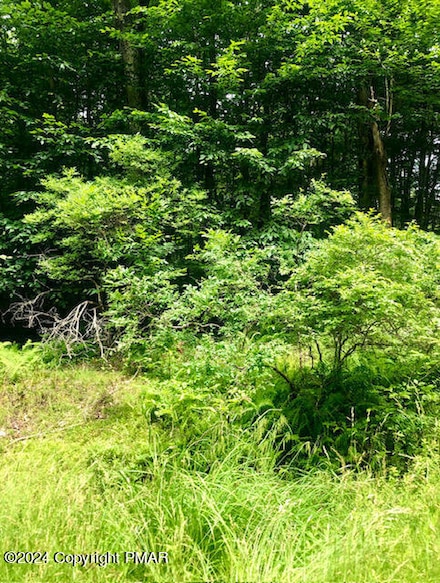 0 Pontiac Path Lot 34, Pocono Lake, PA 18347
