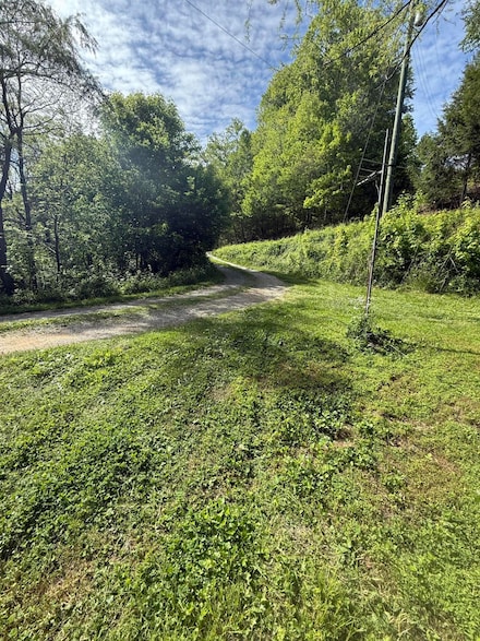 4454 Wilhite Rd, Cosby, TN 37722