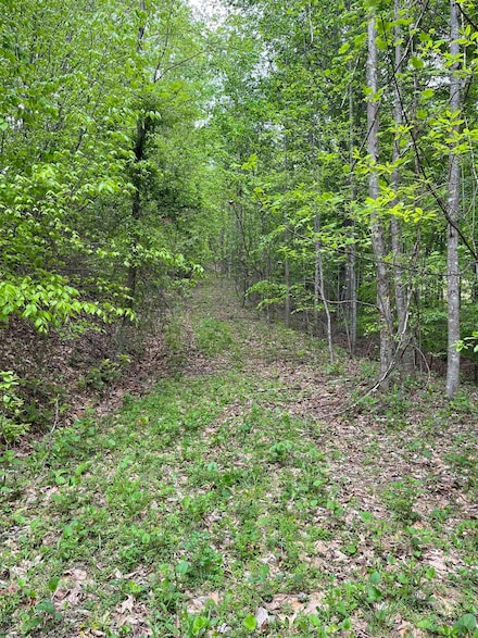 0 Route 65 (Rr) Unit 10159452, Heaters, WV 26621