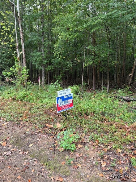 00 County Road 157, Selma, AL 36701