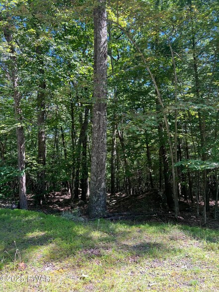130 Song Mountain Dr, Blooming Grove Township, PA 18464