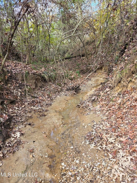 0 Tate Rd Unit 4122319, Natchez, MS 39120