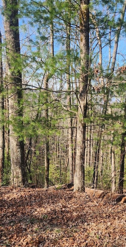 388 Country Hill Rd, Hiawassee, GA 30546