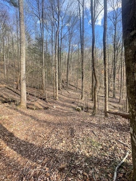 00 Lost Silver Mine Rd, Cisco, GA 30708