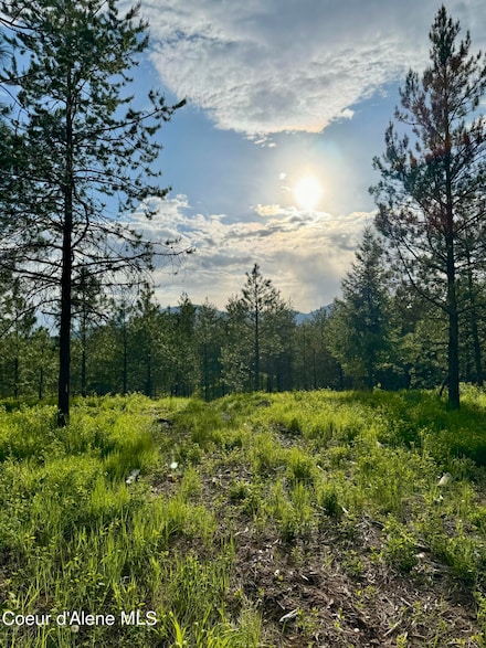 NKA Lot 2 Block 1 Aubrey Estates, Rathdrum, ID 83858