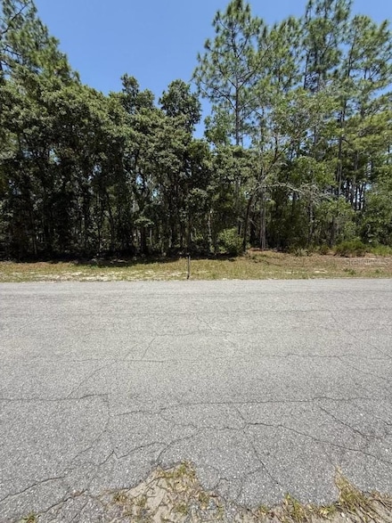 0 SW 148th Place Rd, Dunnellon, FL 34432