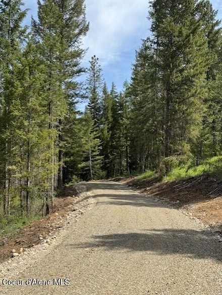 Lot 3 Nka Daytona Dr, Priest River, ID 83856