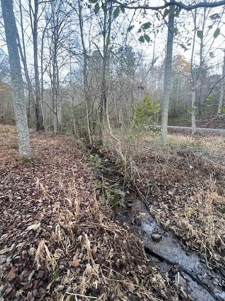 3 A Moss Cove Rd, Blairsville, GA 30512