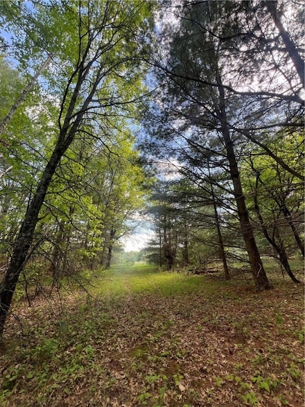 5304 Gaslyn Rd, Webster, WI 54893