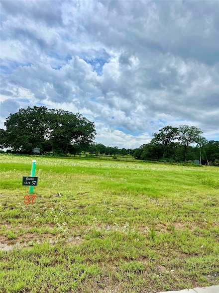 721 Lake Day Dr, Somerville, TX 77879