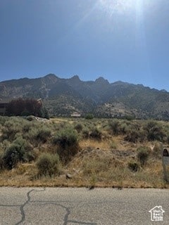 405 S 200 E Unit 4, Willard, UT 84340