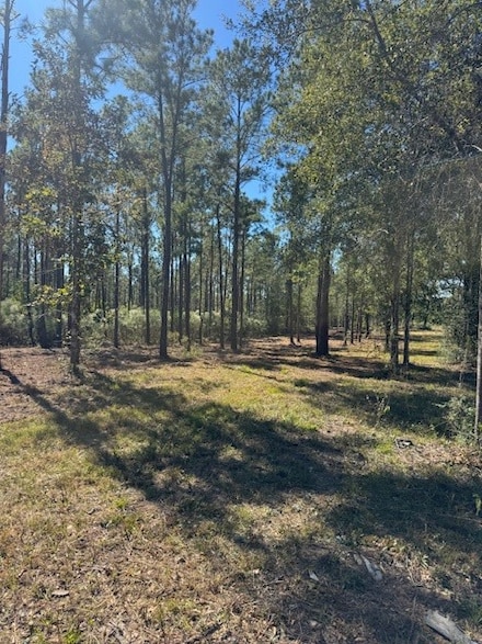 TBD FM 350 South, Lo Farm To Market 350, Livingston, TX 77351