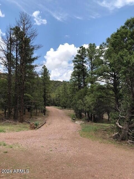 2 County Road N2331 --, Nutrioso, AZ 85932