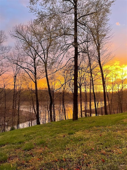 46 Elm Hill Spur Ln, Leitchfield, KY 42754