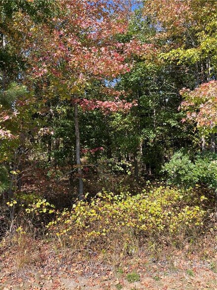0 Chalk Maple Rd Unit 1 CAR3916484, China Grove, NC 28023