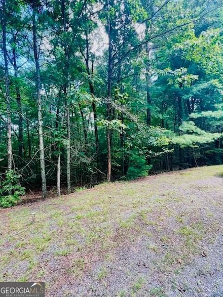 LOT 42 Squirrel Hunting Rd, Ellijay, GA 30536
