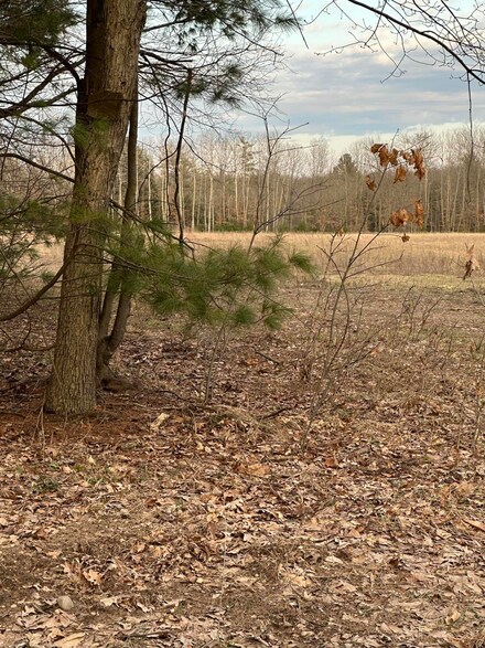 V/L E Baseline Rd, Hesperia, MI 49421