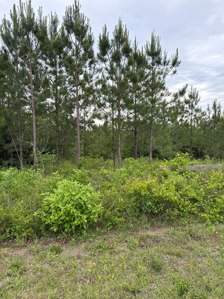 0000 Church Rd, Altha, FL 32421
