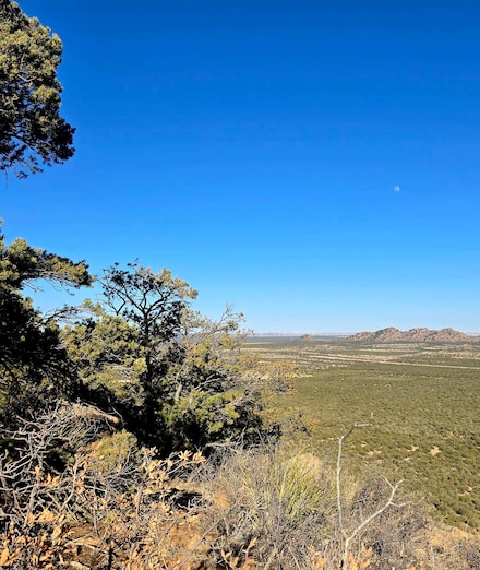 Lot 6 Crow Bait Trail, Corona, NM 88318