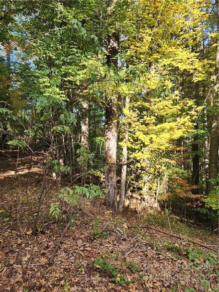 0 Hunter St Unit 2 CAR3824006, Burnsville, NC 28714