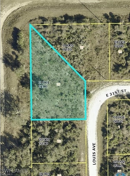 3005 Louis Ave, Alva, FL 33920