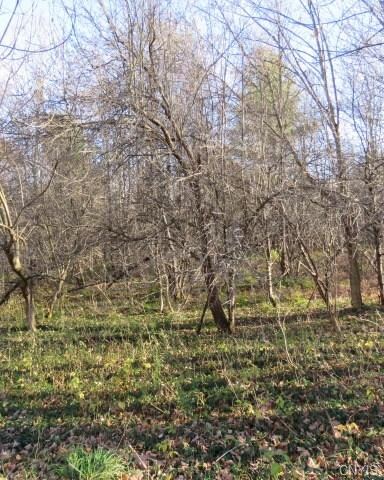 0 Cable Rd Unit S1017124, Williamstown, NY 13493