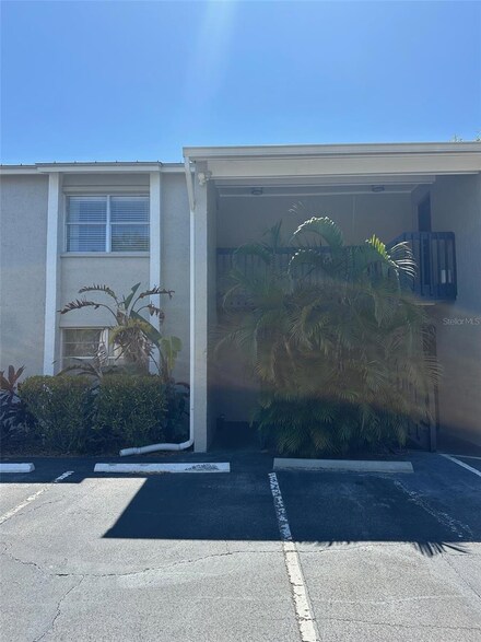306 S Habana Ave Unit 7, Tampa, FL 33609