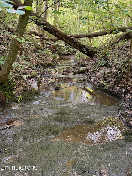 0 Goose Creek Rd Unit 1308459, Seymour, TN 37865
