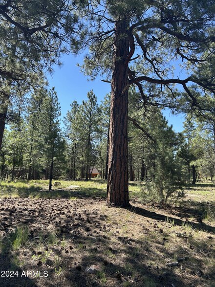 4978 Durango Dr Unit 358, Happy Jack, AZ 86024