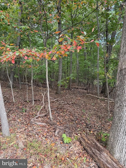 1832 Ridge Rd, Haymarket, VA 20169