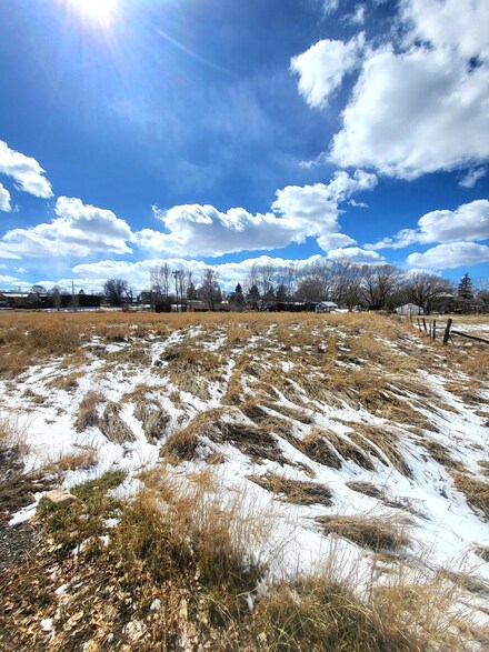 1130 Forest St Unit 4, Norwood, CO 81423