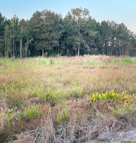 16489 Peacock Dr, Walker, LA 70785