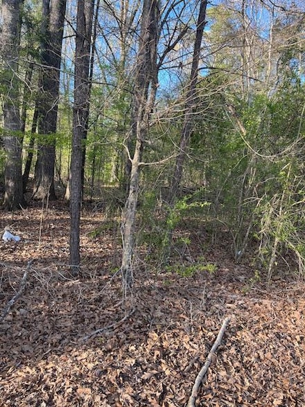 00 Gibson Rd, Vicksburg, MS 39180