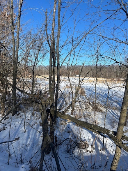 xxx Cardinal Trail, Cushing Township, MN 56475