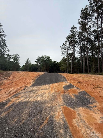 0000 Gin Rd, Milton, FL 32571