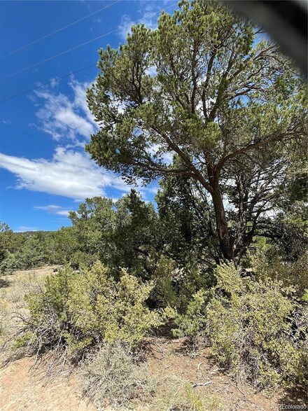 317 Elk Ridge Trail, South Fork, CO 81154