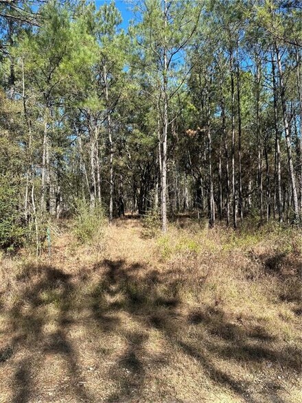 Lot D-2-B John T Prats Rd, Covington, LA 70435