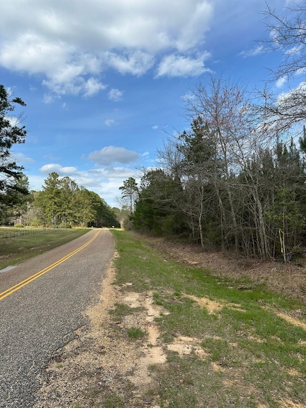 0 Mayberry Gulley Rd, Dozier, AL 36028