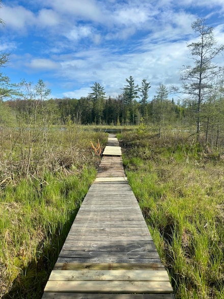 1065N N Powerline Rd, Mueller Township, MI 49836