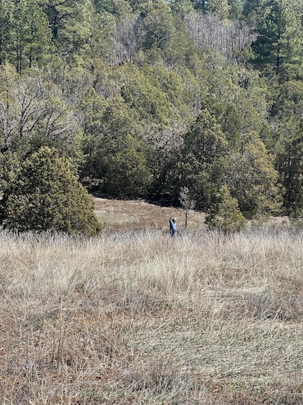 67 Skyland Blvd, Tijeras, NM 87059