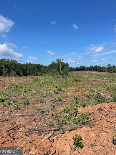 776 Allen Rd, Butler, GA 31006