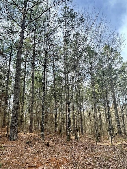 739 Timber Creek Trails South Xl, Broken Bow, OK 74728