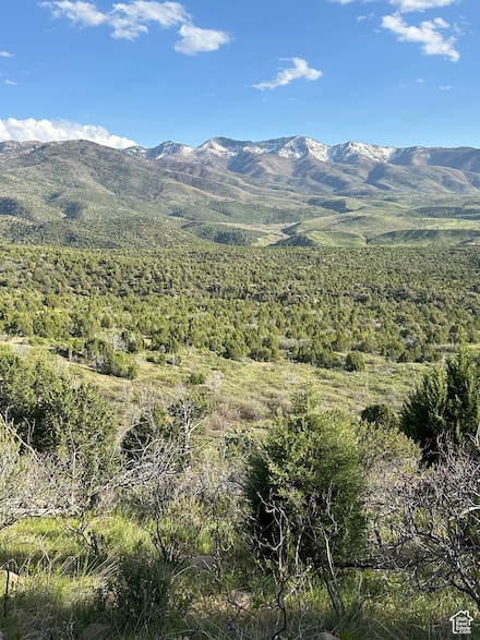 1700 E 200 Rd S, Fillmore, UT 84631