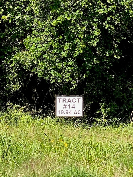 TBD 14 Farm To Market 1848, Buffalo, TX 75831