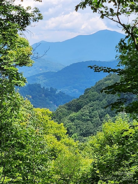 43 Blackbird Ln Unit 43 & part 44, Maggie Valley, NC 28751